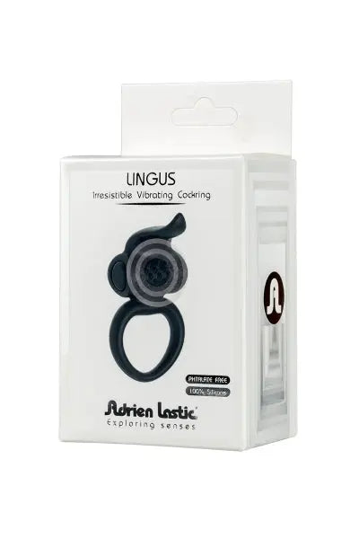 Anneau vibrant Lingus Adrien Lastic