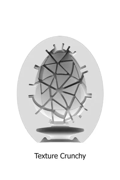 Masturbateur Satisfyer Egg Crunchy Satisfyer