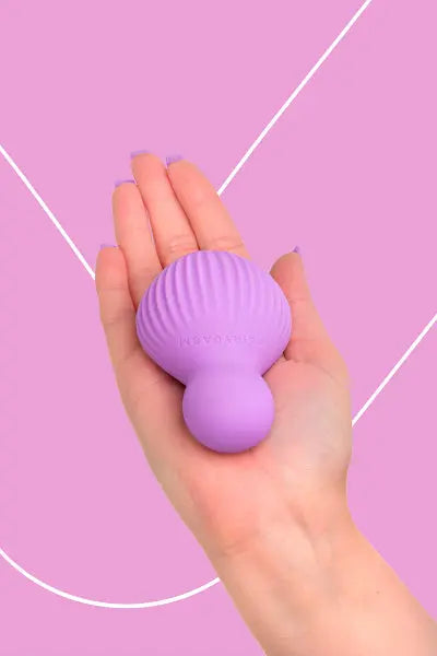 Mini vibro rechargeable EnchantedDesire violet - FairyGasm Fairygasm