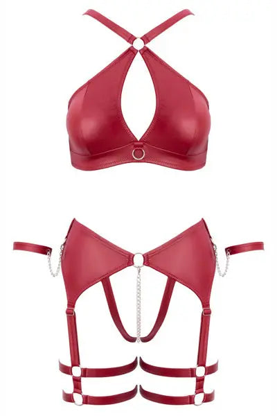 Ensemble BDSM bordeaux - Cotelli Bondage Cotelli Bondage