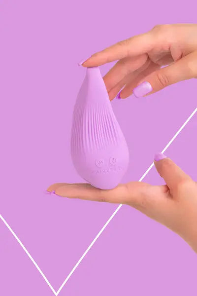 Mini vibro rechargeable DelightfulWave violet - FairyGasm Fairygasm
