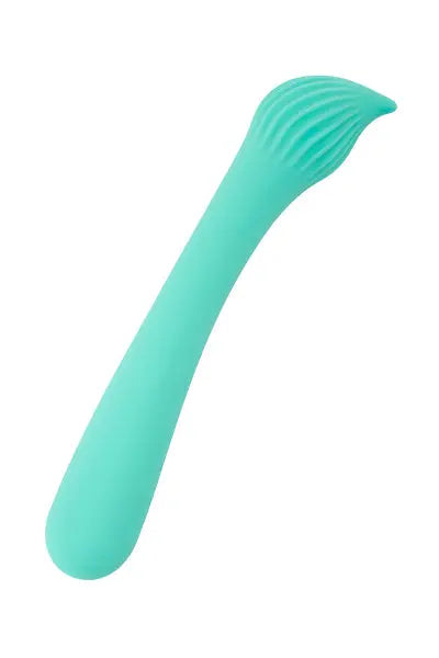 Vibro rechargeable Passionmania vert - FairyGasm Fairygasm