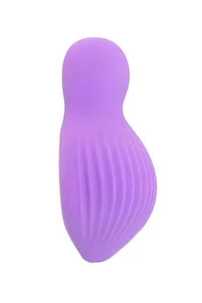 Mini vibro rechargeable EnchantedDesire violet - FairyGasm Fairygasm