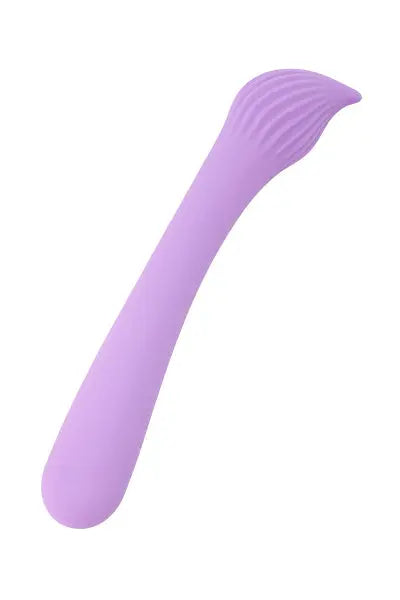 Vibro rechargeable Passionmania violet - FairyGasm Fairygasm